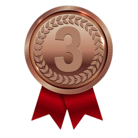 Bronze Medal